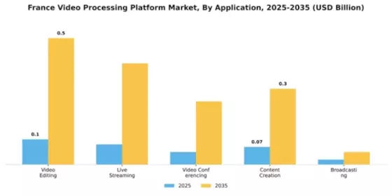 France Video Processing Platform Market Segment Image 0