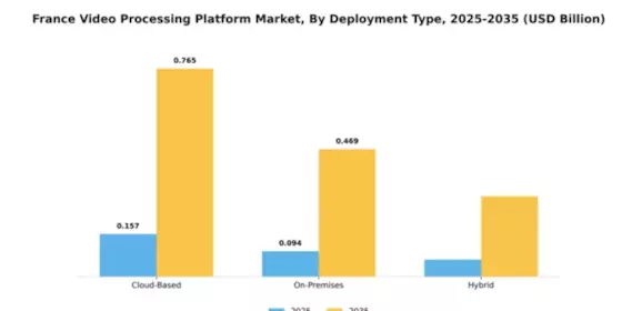 France Video Processing Platform Market Segment Image 1