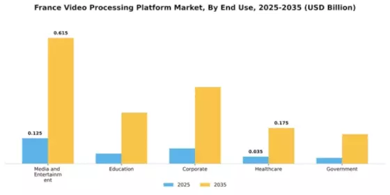 France Video Processing Platform Market Segment Image 2