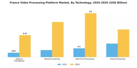 France Video Processing Platform Market Segment Image 3