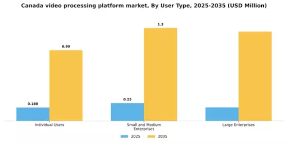 Canada Video Processing Platform Market Segment Image 4