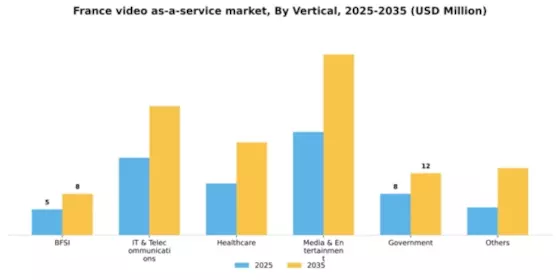 France Video As A Service Market Segment Image 2