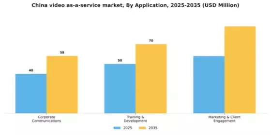 China Video As A Service Market Segment Image 0