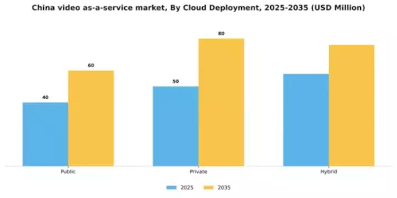 China Video As A Service Market Segment Image 1