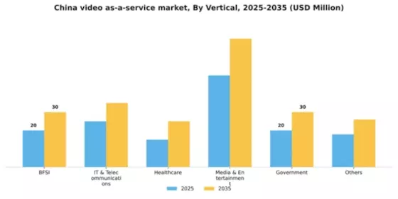 China Video As A Service Market Segment Image 2