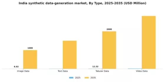 India Synthetic Data Generation Market Segment Image 3