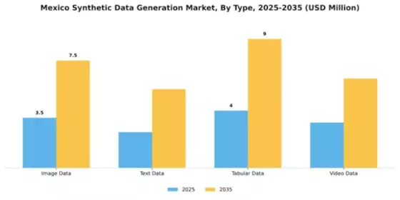 Mexico Synthetic Data Generation Market Segment Image 3