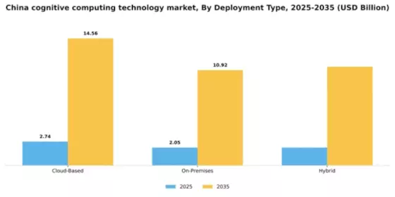 China Cognitive Computing Technology Market Segment Image 2