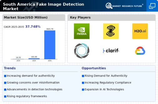 South America Fake Image Detection Market Infographic