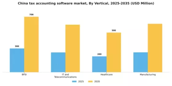 China Tax Accounting Software Market Segment Image 2