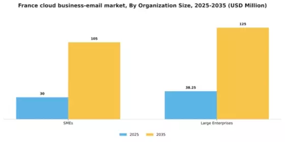 France Cloud Business Email Market Segment Image 1