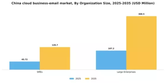 China Cloud Business Email Market Segment Image 1