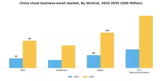 China Cloud Business Email Market Segment Image 2