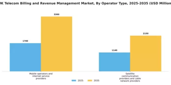 UK Telecom Billing Revenue Management Market Segment Image 2