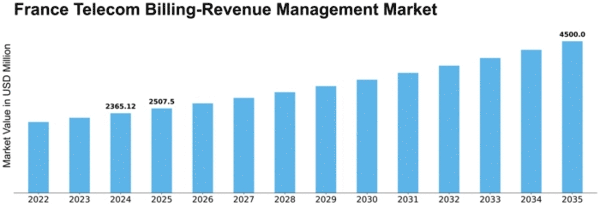France Telecom Billing Revenue Management Market Size