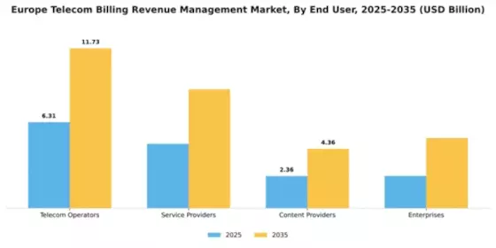 Europe Telecom Billing Revenue Management Market Segment Image 3