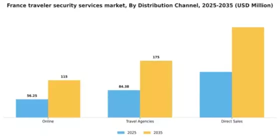 France Traveler Security Services Market Segment Image 2