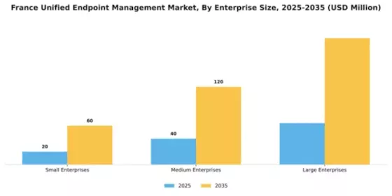 France Unified Endpoint Management Market Segment Image 2