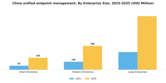 China Unified Endpoint Management Market Segment Image 2