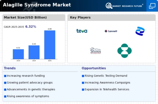 Alagille Syndrome Market Research Report – Forecast to 2032 Infographic