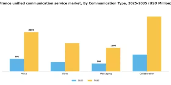 France Unified Communication Service Market Segment Image 0