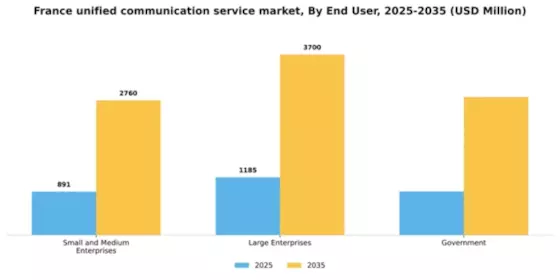 France Unified Communication Service Market Segment Image 2
