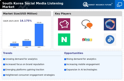 South Korea Social Media Listening Market Infographic