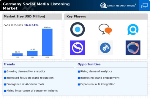 Germany Social Media Listening Market Infographic