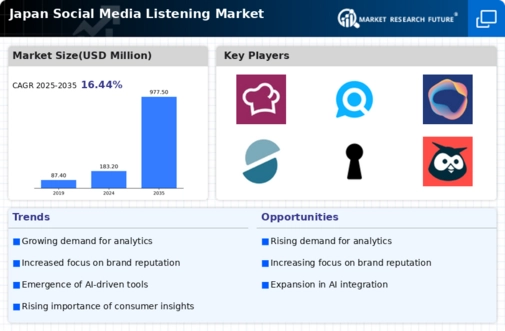 Japan Social Media Listening Market Infographic