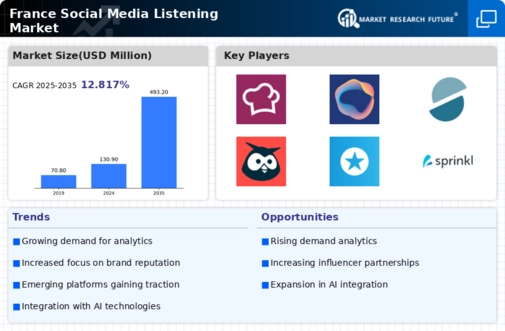 France Social Media Listening Market Infographic