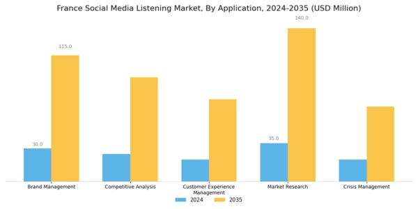 France Social Media Listening Market Segment Image 0