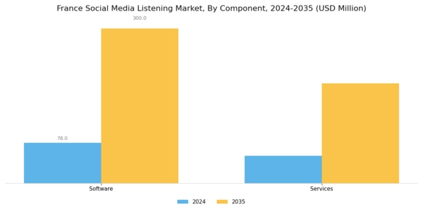 France Social Media Listening Market Segment Image 3
