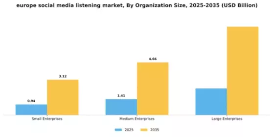 Europe Social Media Listening Market Segment Image 4