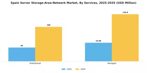 Spain Server Storage Area Network Market Segment Image 2