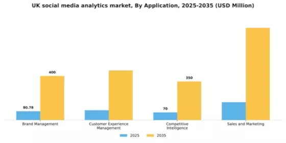 UK Social Media Analytics Market Segment Image 0