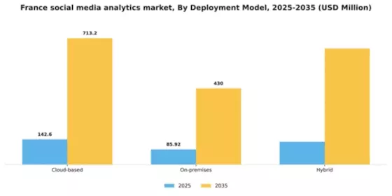 France Social Media Analytics Market Segment Image 1