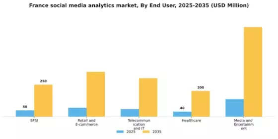 France Social Media Analytics Market Segment Image 2