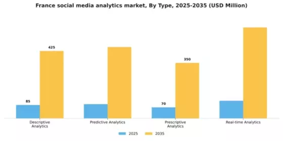 France Social Media Analytics Market Segment Image 3