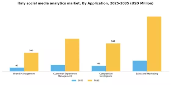 Italy Social Media Analytics Market Segment Image 0