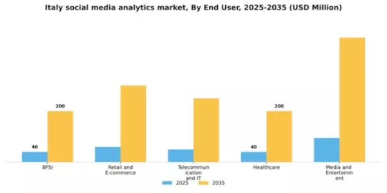 Italy Social Media Analytics Market Segment Image 2