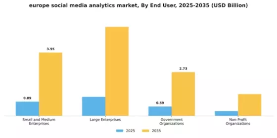 Europe Social Media Analytics Market Segment Image 4