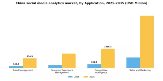 China Social Media Analytics Market Segment Image 0