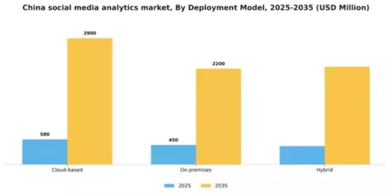 China Social Media Analytics Market Segment Image 1
