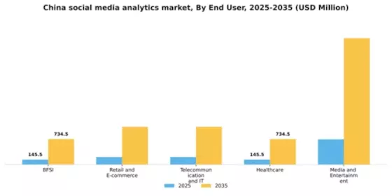 China Social Media Analytics Market Segment Image 2