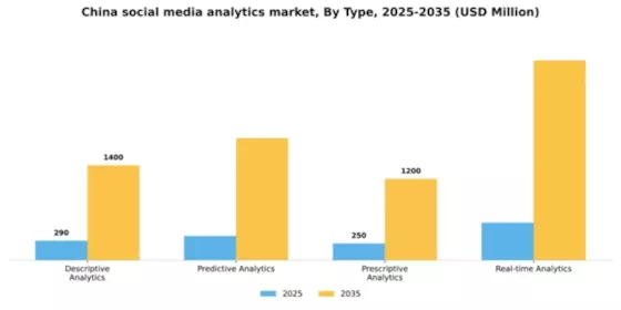 China Social Media Analytics Market Segment Image 3