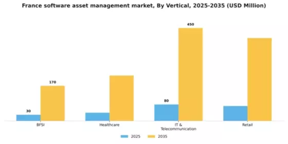 France Software Asset Management Market Segment Image 3