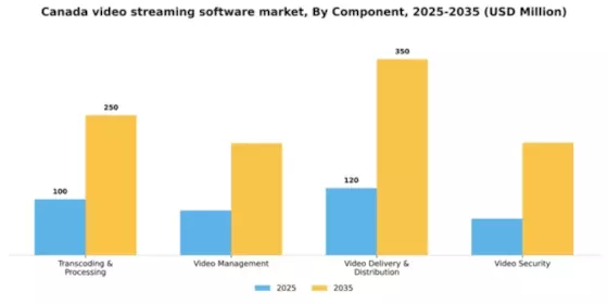 Canada Video Streaming Software Market Segment Image 0
