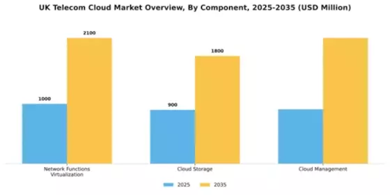 UK Telecom Cloud Market Segment Image 0