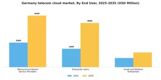 Germany Telecom Cloud Market Segment Image 2