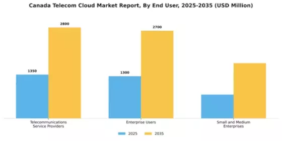 Canada Telecom Cloud Market Segment Image 2